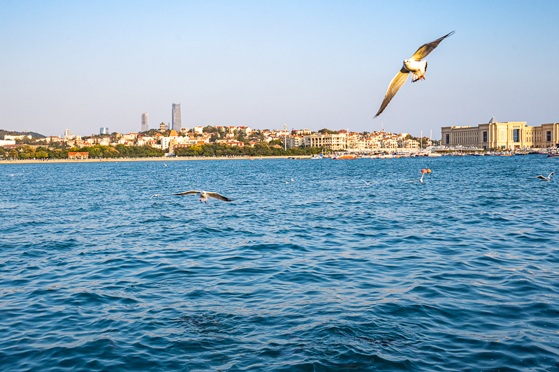 青島退貨到大陸(青島bv退貨客服電話)